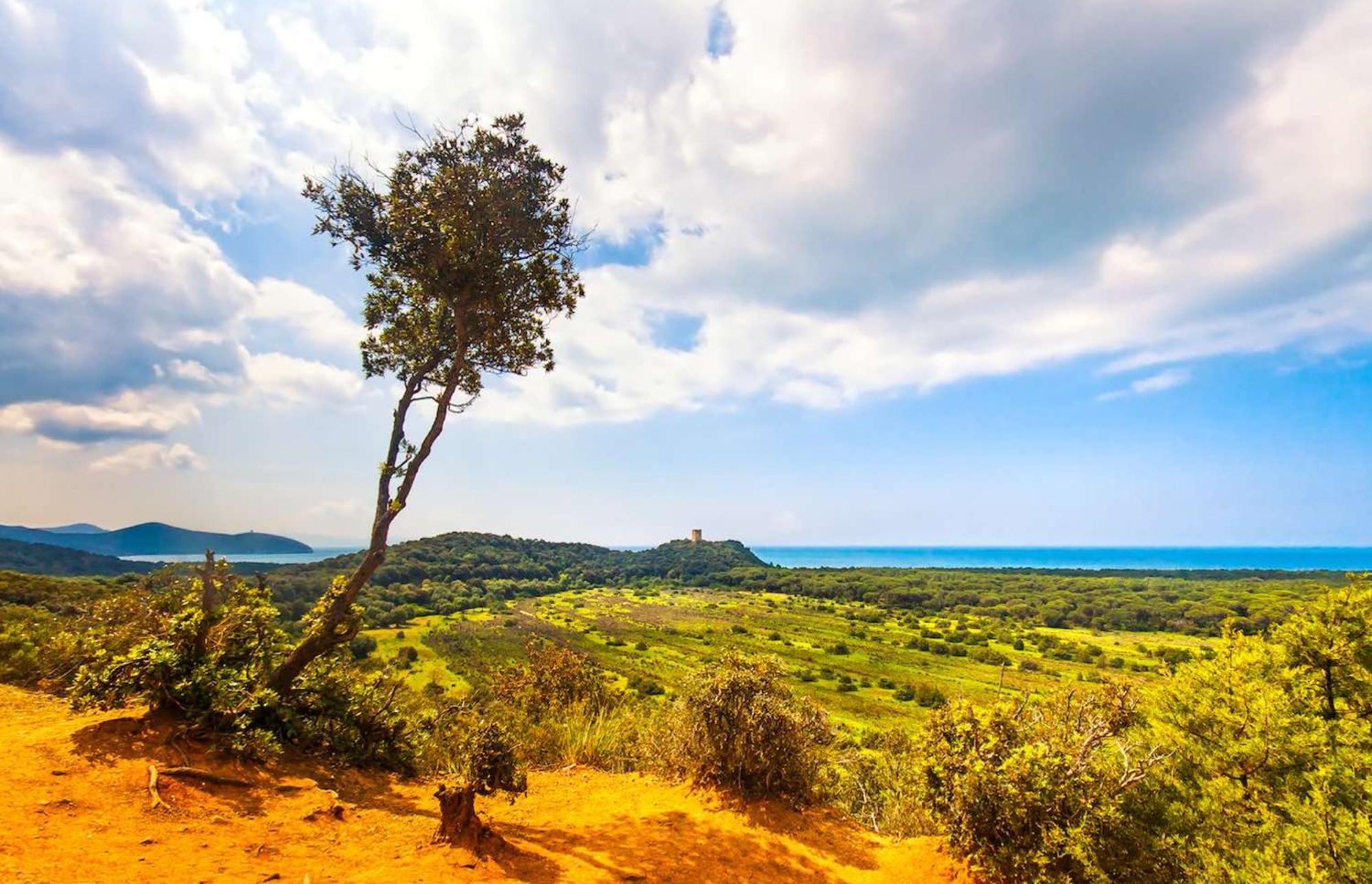 Agriturismo Capricorni Маса Маритима Екстериор снимка