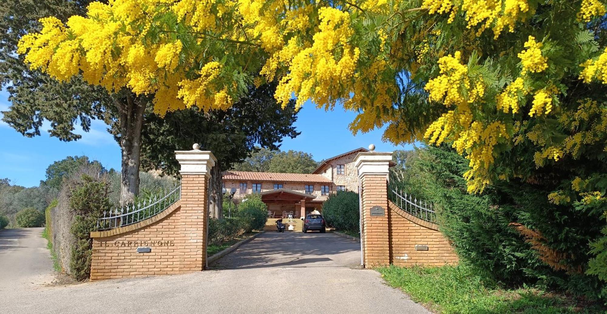 Agriturismo Capricorni Маса Маритима Екстериор снимка